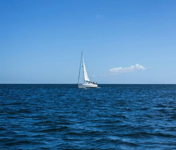 Barco1_Web